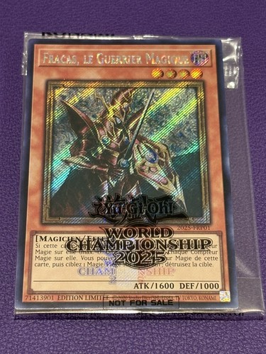 Breaker the magical warrior - the,